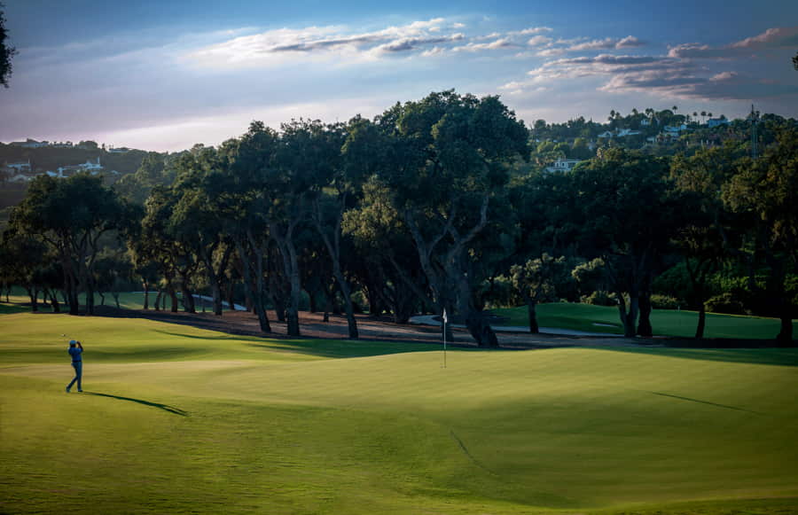 The San Roque Club