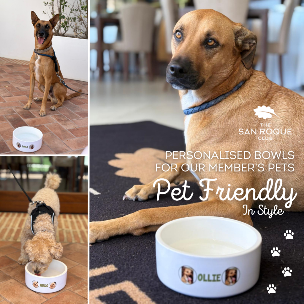 Personalized Dog Bowls For Member&#8217;s Pets